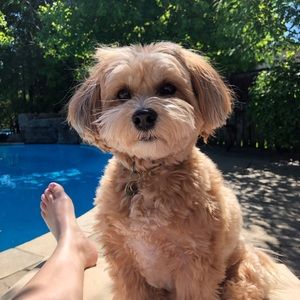 Meet your Posher, Erin